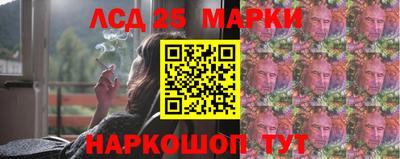 гидра Моздок