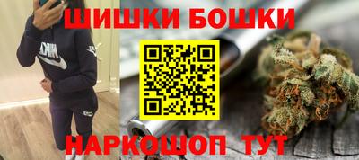 гидра Моздок