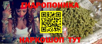 гидра Моздок