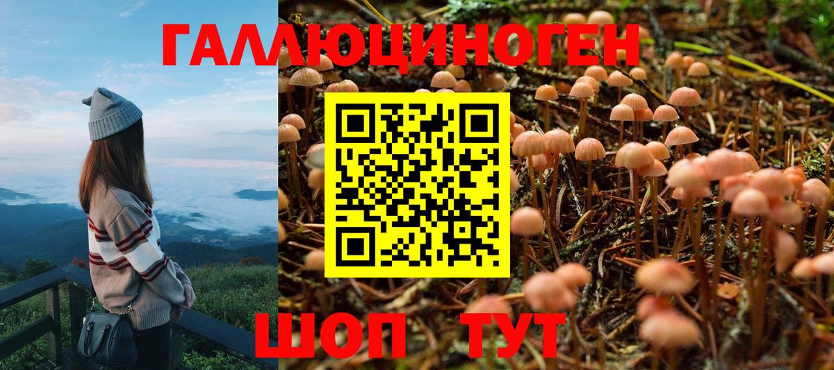 Псилоцибиновые грибы MAGIC MUSHROOMS Томск