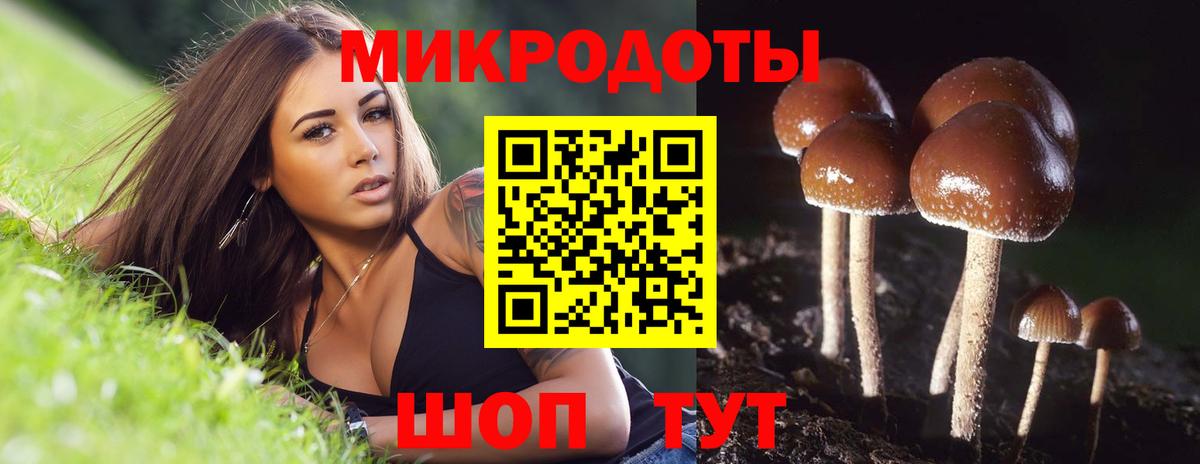 Томск  Псилоцибиновые грибы мухоморы  Вход с VPN 